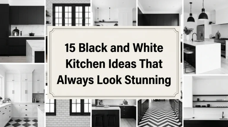 Black and White Kitchen Ideas