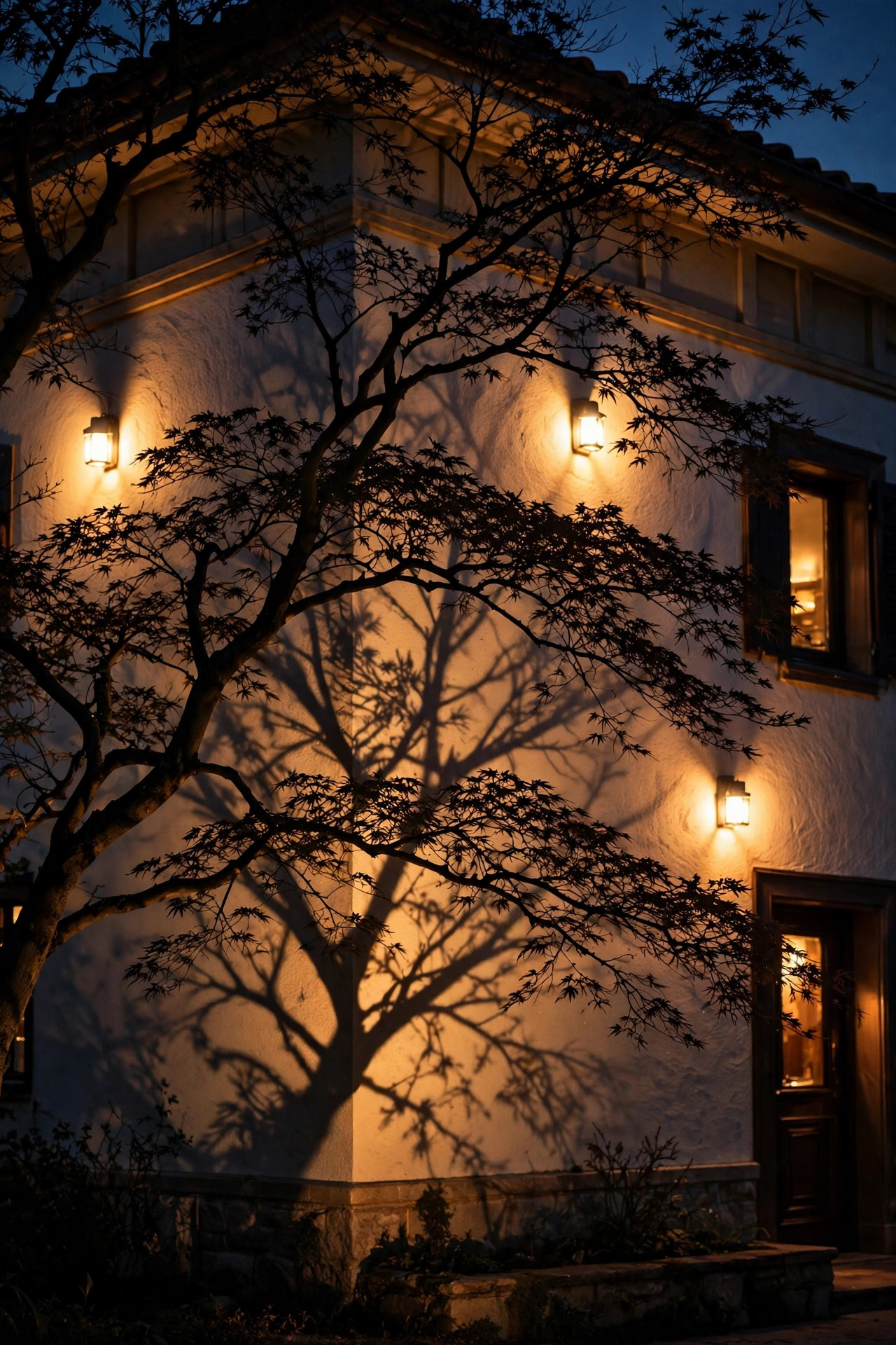 Ornamental tree silhouetted against a warmly lit house facade at night, branch shadows cast across the wall