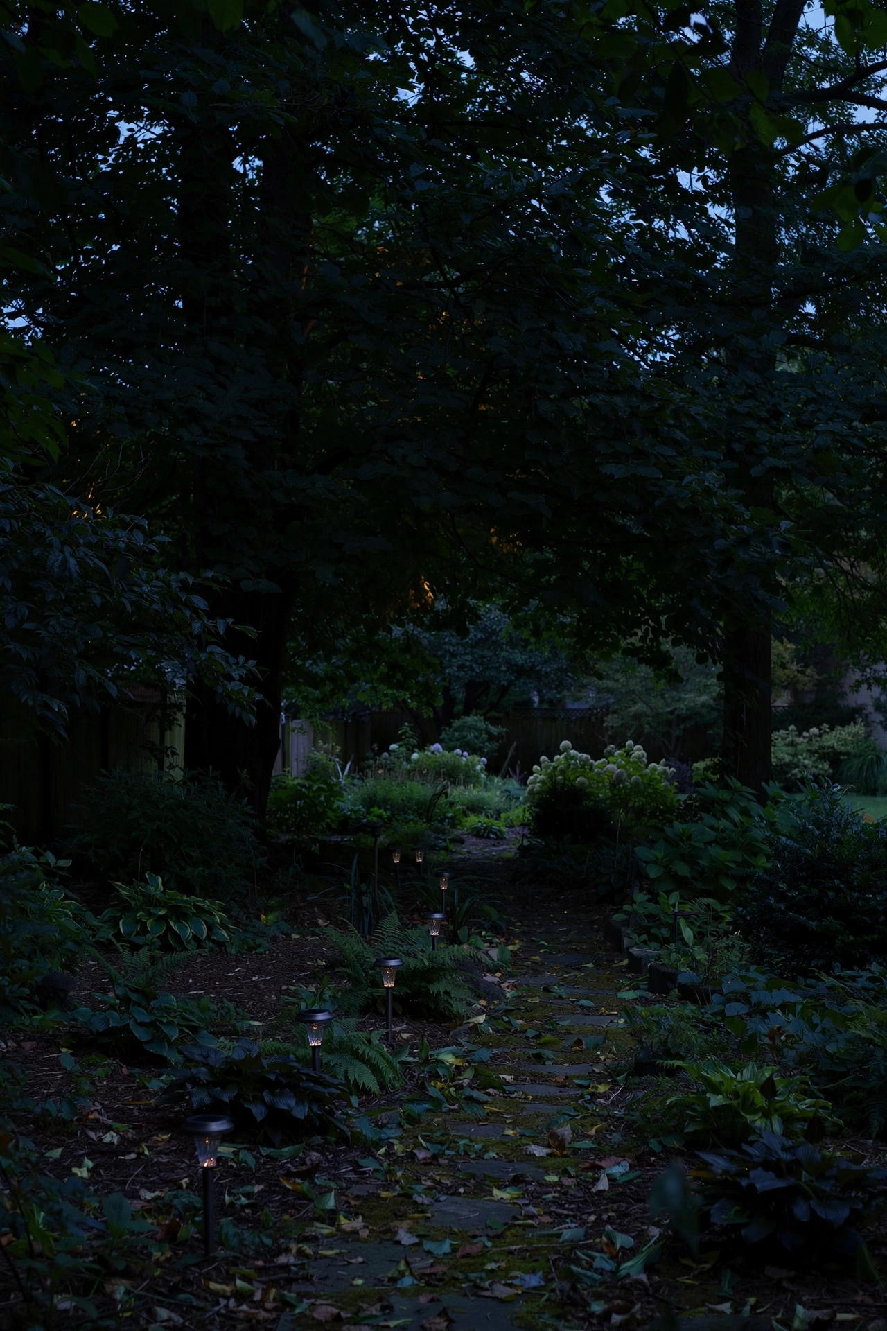 Dim solar path lights struggling to glow under the deep shade of large trees in a suburban garden at dusk